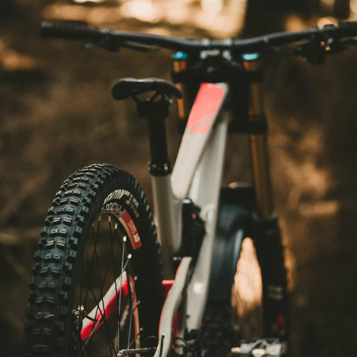 Goodyear Newton MTR Downhill Tubeless Complete Tyre - Image 4