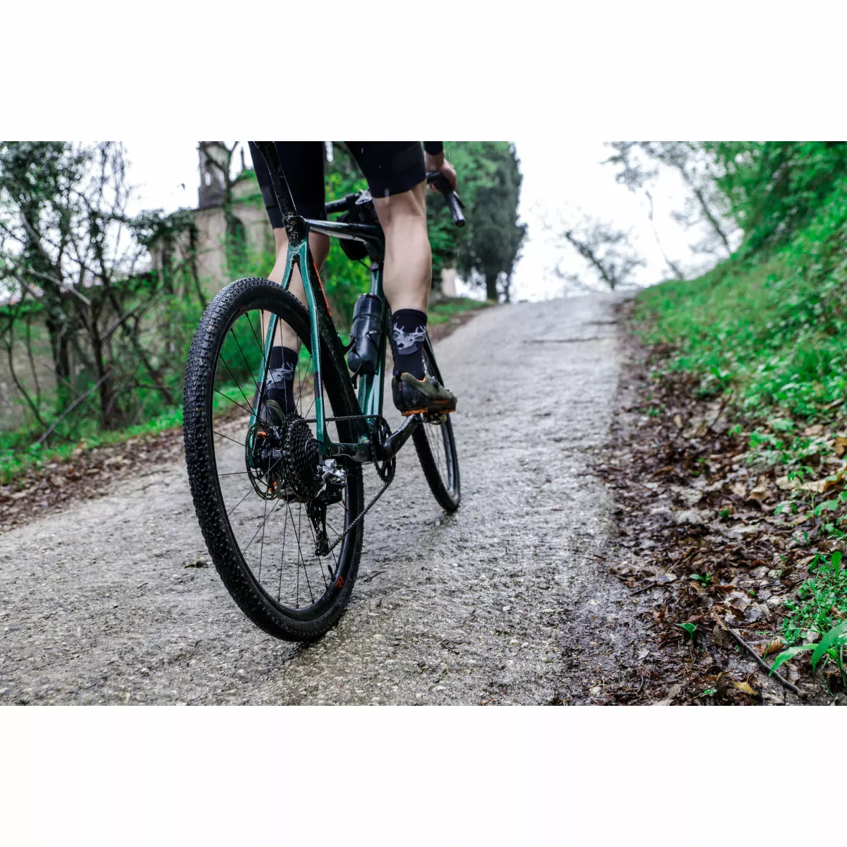 Fulcrum Rapid Red 5 Disc Wheelset - Image 8